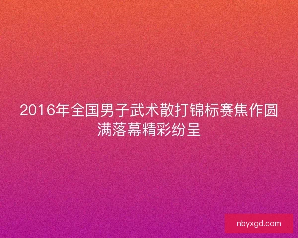 2016年全国男子武术散打锦标赛焦作圆满落幕精彩纷呈