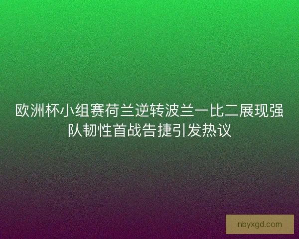 欧洲杯小组赛荷兰逆转波兰一比二展现强队韧性首战告捷引发热议