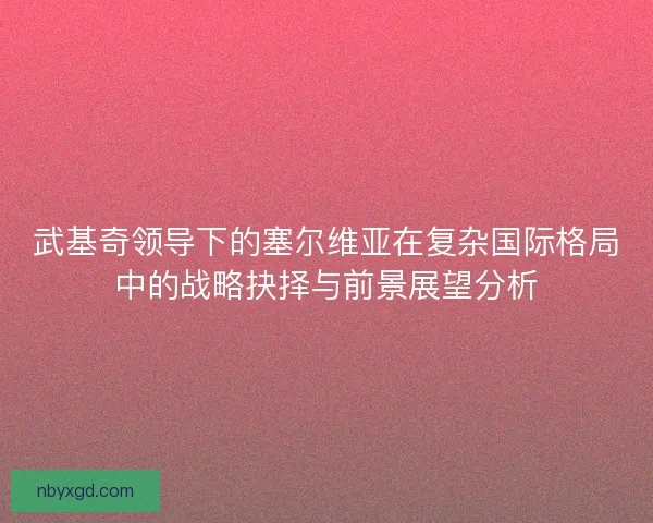 武基奇领导下的塞尔维亚在复杂国际格局中的战略抉择与前景展望分析 武基奇领导下的塞尔维亚在复杂国际格局中的战略抉择与前景展望分析