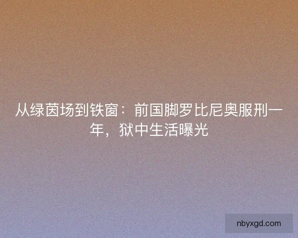 从绿茵场到铁窗：前国脚罗比尼奥服刑一年，狱中生活曝光